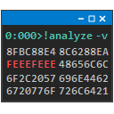 WinDbg Integration